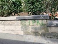 graffitis (1)