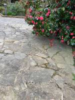 terrasse (1)